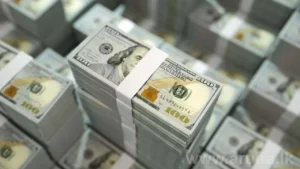 articles2FmW1SCWFZIMXI5eY76Bra