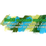 Wildlife-Conservation