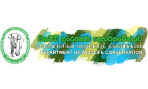 Wildlife-Conservation