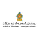 Plantation-Ministry